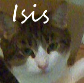 Isis Name