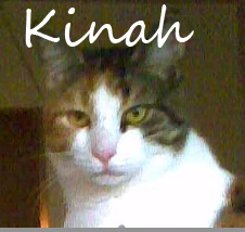 Kinah Name