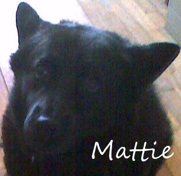 Mattie Name