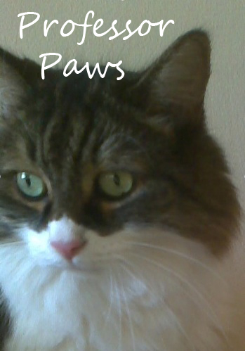 Professor Paws Name