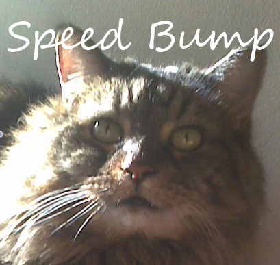 Speed Bump renamed